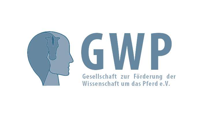 Online und öffentlich: Verleihung der GWP-Förderpreise