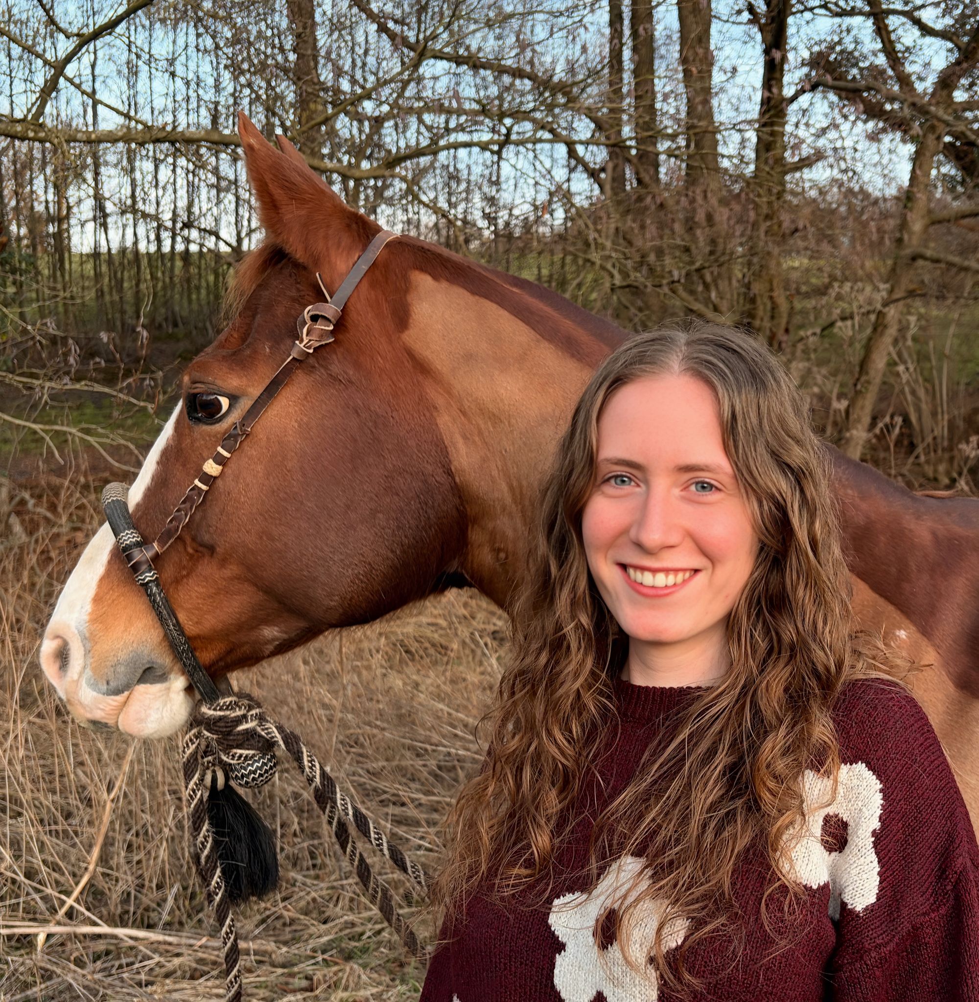GWP-Förderpreis 2026 – prämierte Bachelorarbeit: Leonie Merkle über die Verbreitung des West-Nil-Virus in der deutschen Pferdepopulation