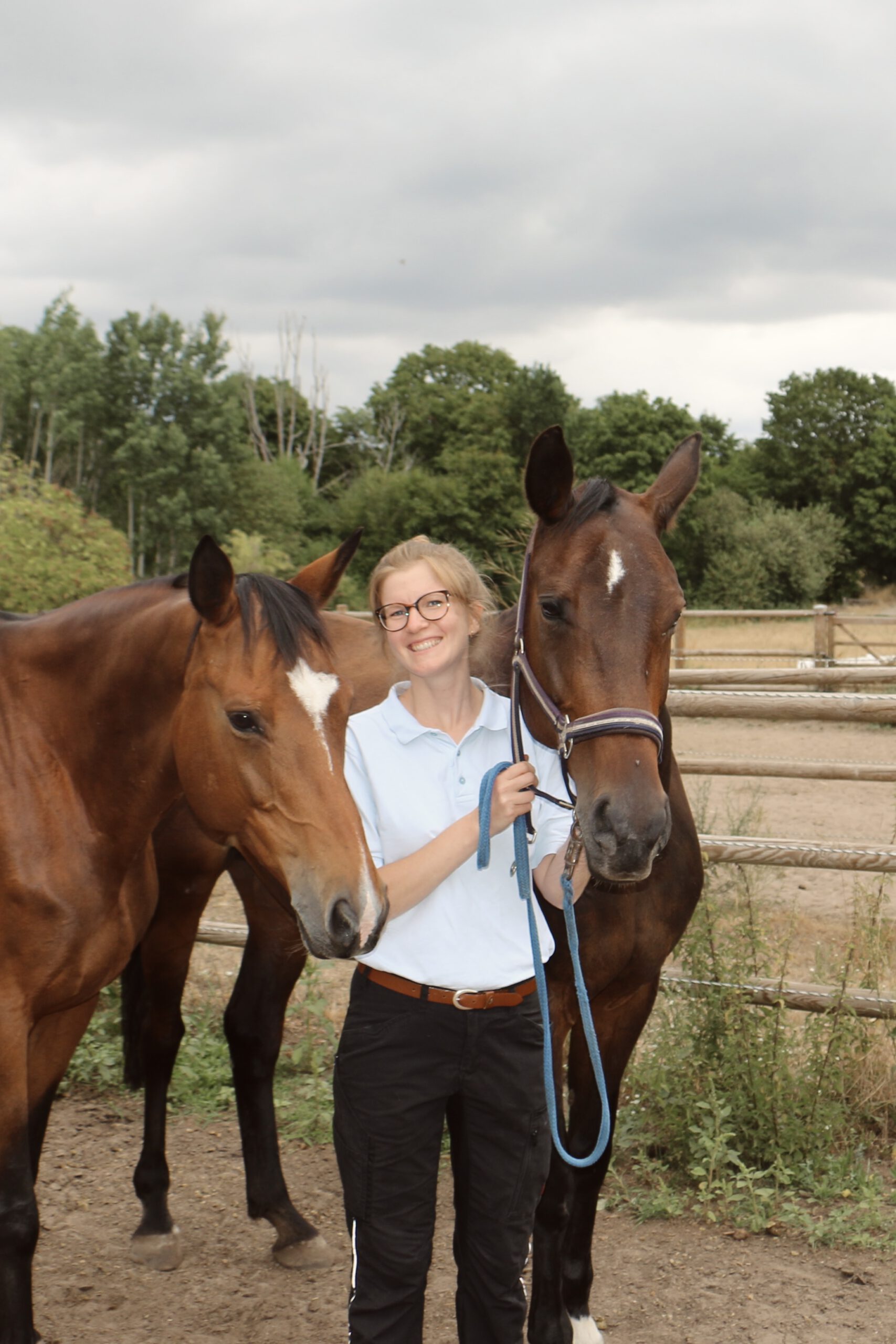 GWP-Förderpreis 2026 – Sieger-Dissertation: Nathalie Baudisch über die Biomechanik der thorakolumbalen Wirbelsäule des Pferdes