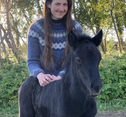 GWP-Förderpreis 2026 – prämierte Dissertation: Paula Reich über Sequenzlevel-Genotypen in genomischen Analysen beim Warmblutpferd