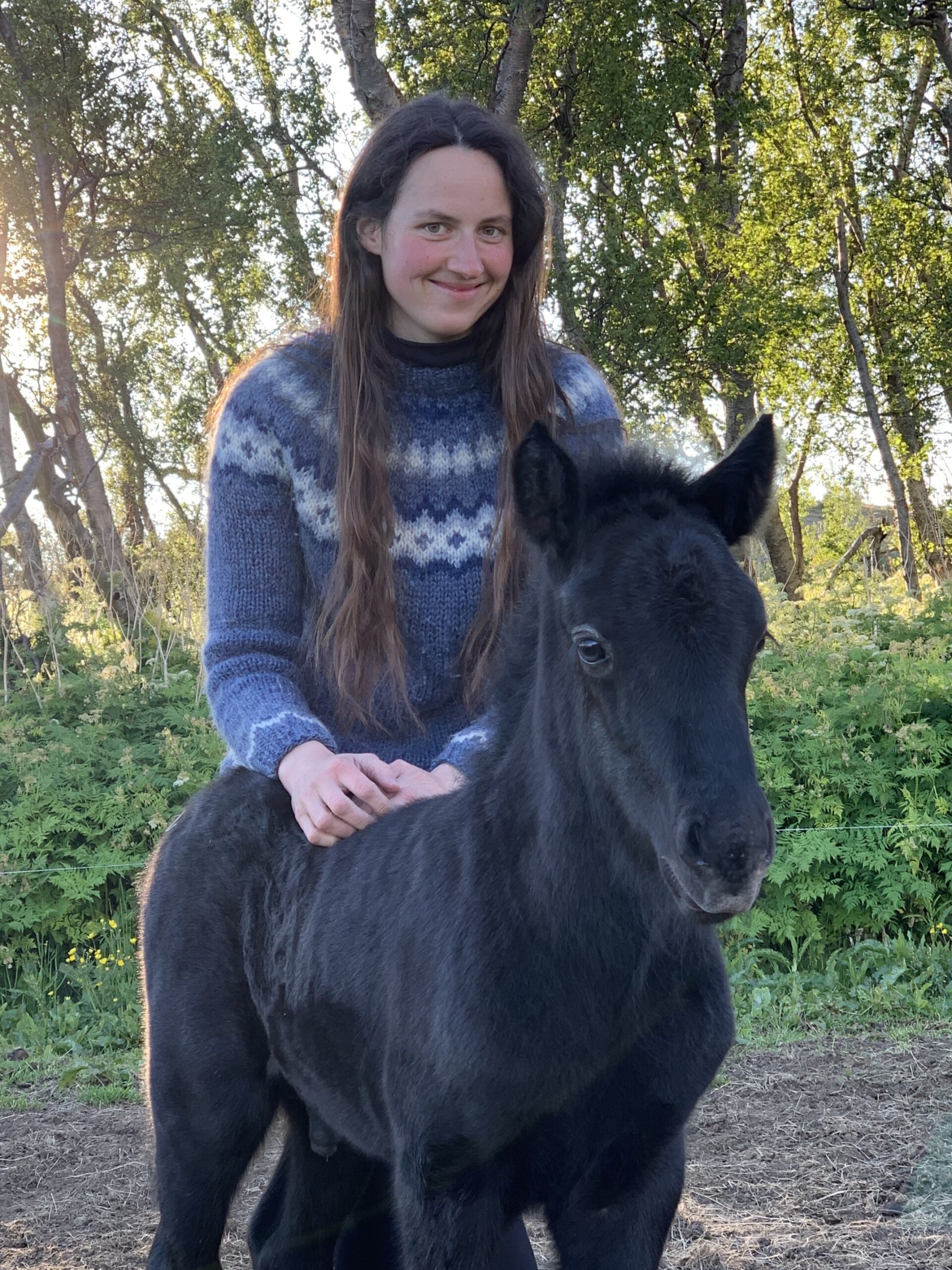 GWP-Förderpreis 2026 – prämierte Dissertation: Paula Reich über Sequenzlevel-Genotypen in genomischen Analysen beim Warmblutpferd