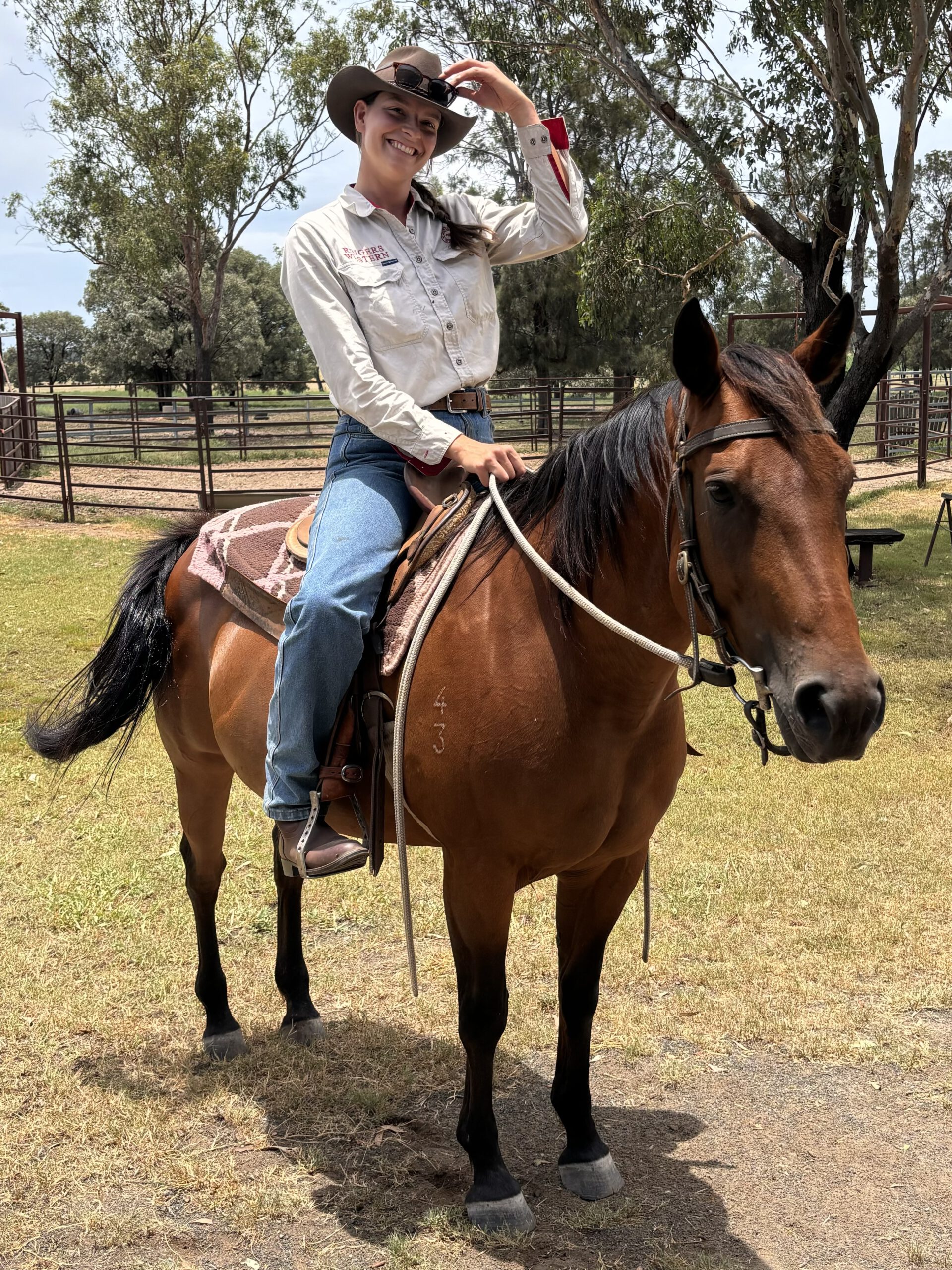 GWP-Förderpreis 2026 – Sieger-Bachelorarbeit: Raphaela Kusch über Verhaltensforschung und Vegetationsmonitoring bei Hengsten