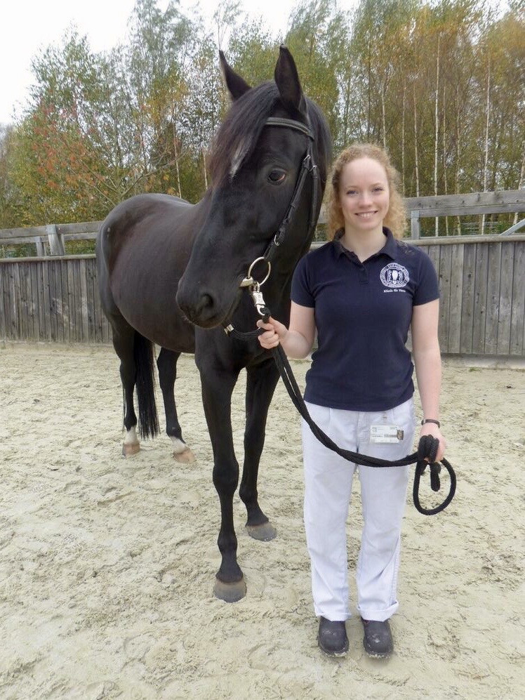 GWP-Förderpreis 2026 – prämierte Dissertation: Muriel Sarah Folgmann über eine Gesundheitsdatenbank für Pferde in Deutschland